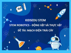 Giáo án STEM mầm non 3-4 tuổi Mạch điện trái cây - KidsEdu STEM với hình ảnh robot và bình thí nghiệm